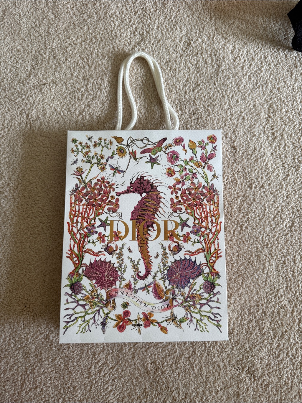 Dior White Gift Bag With Pink Gold  Green Seahorse Design